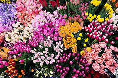 《原神》科隆公开新地区实机 11月20日登陆Xbox主机